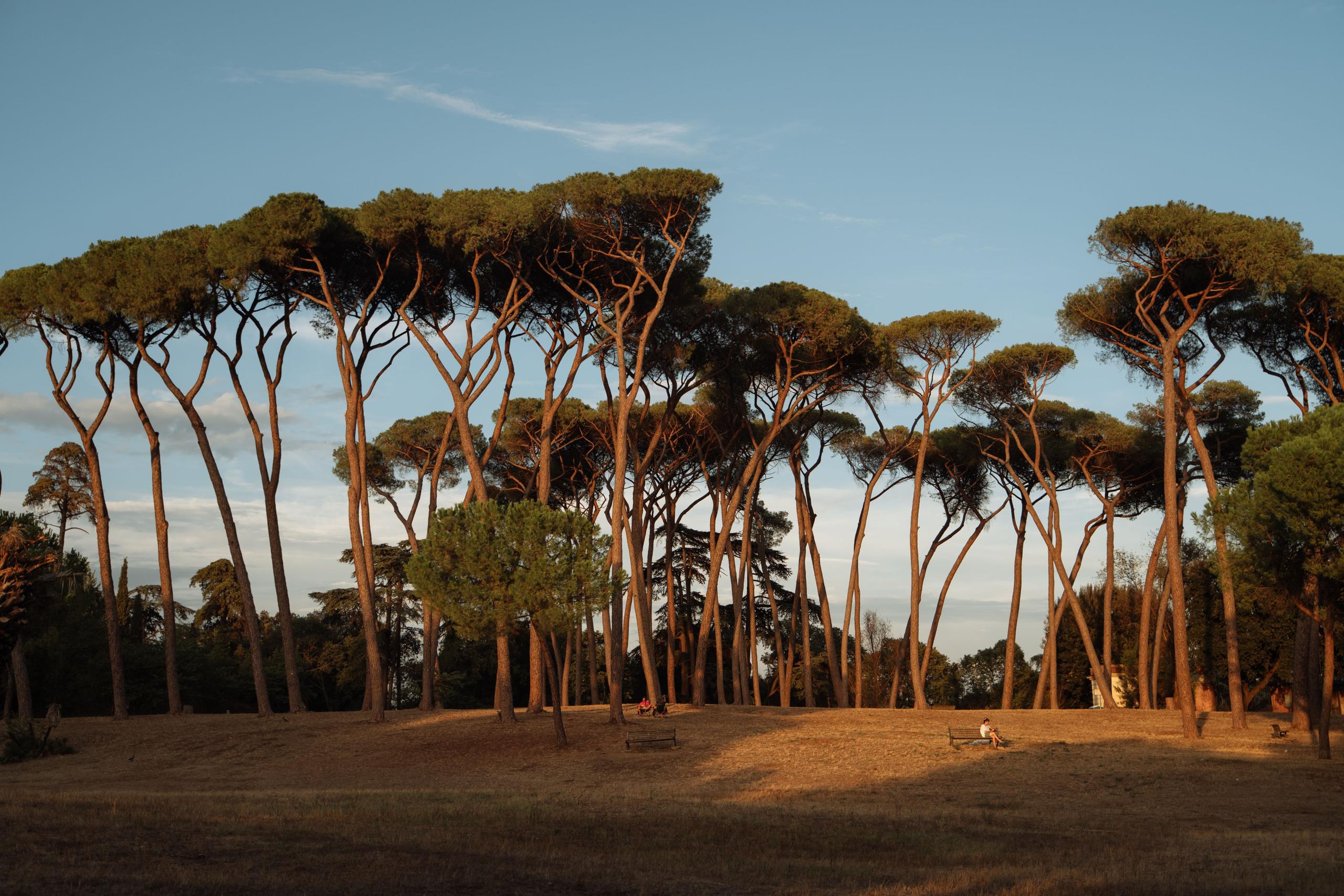 articolo-3-(3)