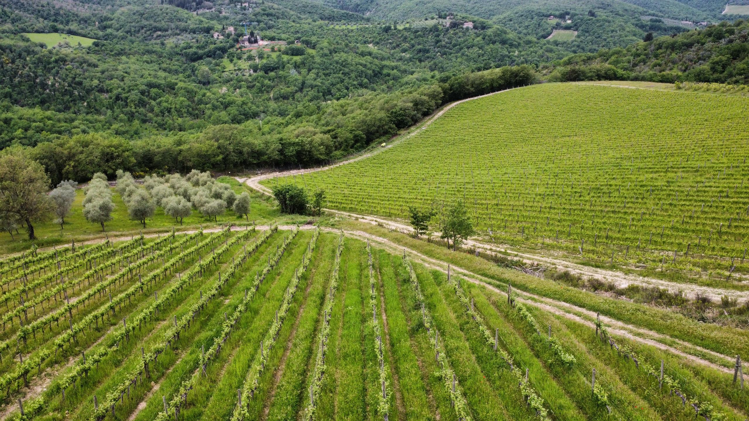 dji-fly-20240513-113014-391-1715592628520-photo-optimized
